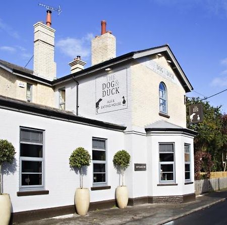 Apartmán The Dog And Duck Suffolk Woodbridge Exteriér fotografie